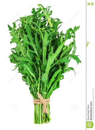 Rucola fresca