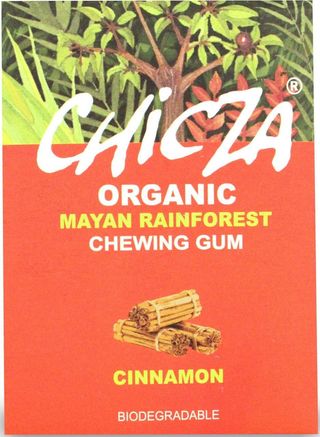 GUMA DO ŻUCIA CYNAMON BIO 30 g - CHICZA