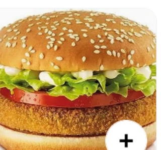 Vegetariano Burger Individual