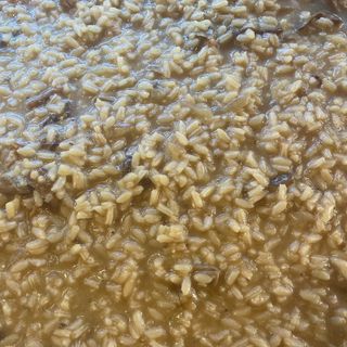 Risotto ai funghi