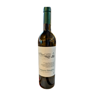 Falanghina Igt