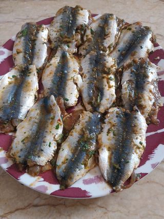 Sardines