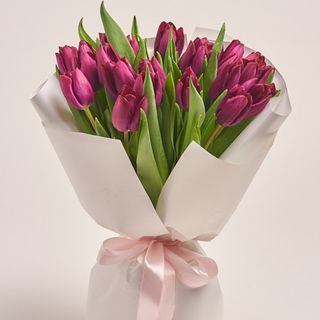 Bukiet n.59 z Tulipanów 21 szt 
