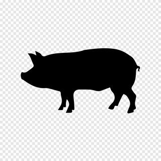 Bocadillo Don Sancho