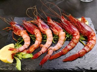 Gamberi viola di Santa Margherita