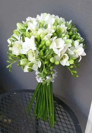 Bouquet di fresia bianche