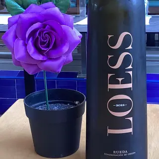 LOESS