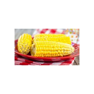 Plain maize