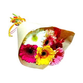 Gerberas Mix