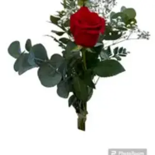 rosa roja unidad 