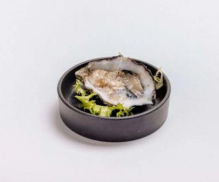 123-Ostriche 1 pezzo