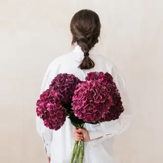 Ramo de 5 hortensias de otoño
