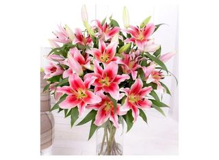 17 Лилума, розови | 1 pieces