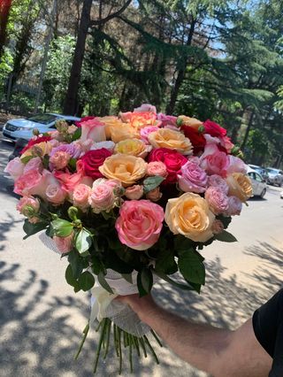 ფერადი ჯუჯა ვარდები და სტანდარტული ფერადი ჰოლანდიური ვარდები