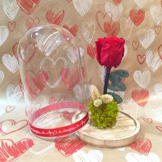 Rosa roja en urna mediana (22cm)