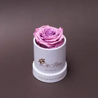 Trandafir criogenat mov în mini-cutie albă