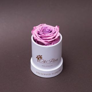 Trandafir criogenat mov în mini-cutie albă