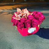 ჰოლანდიური ვარდები და ორქიდეა