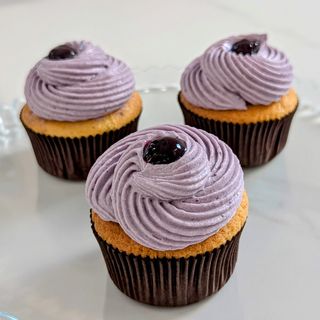 Blueberry cupcake