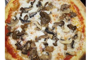 Misto bosco