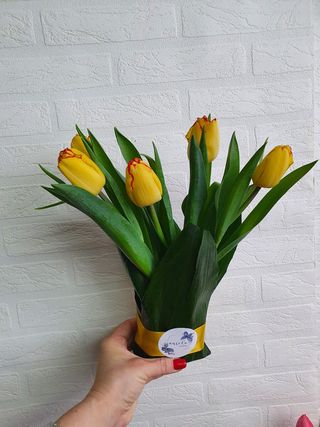 Aranjament din lalele