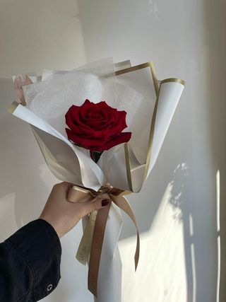 El Amor