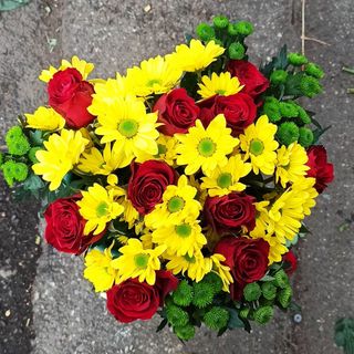 giallo ,rosso