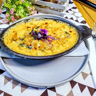 Open Chicken Lasagnia