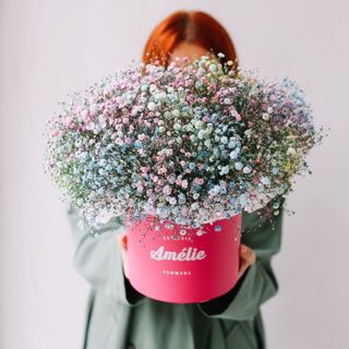 ბამბის ნაყინი ყუთში