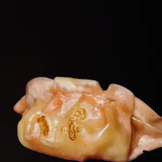 Gyozes de gamba