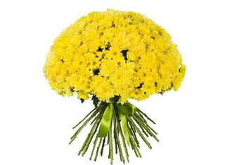 35 хризантеми, Жълти | 1 pieces