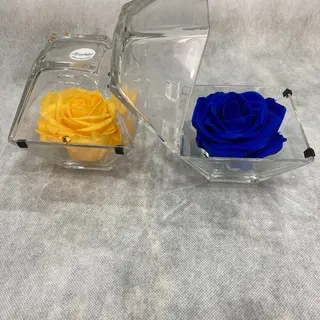 rosa stabilizzata maxi in cofanetto di vetro apribile