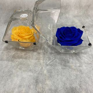 rosa stabilizzata maxi in cofanetto di vetro apribile