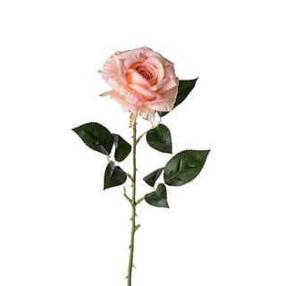 Rosa rosa singola 40 cm