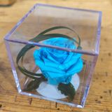 Cubo con rosa ETERNA AZUL CELESTE