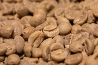 caffè TOSTATO FRESCO Kenya AA Sandalj Top Grainpro 250 grammi