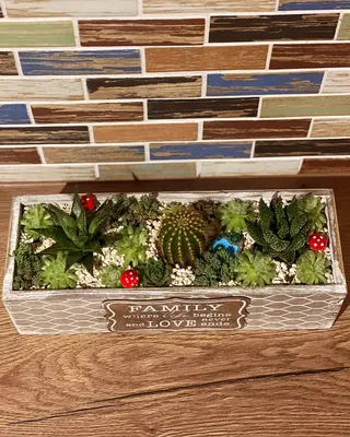 Terarium