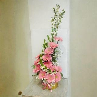 Arranjo de Base em Cajá