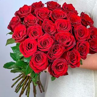 25 dużych róż