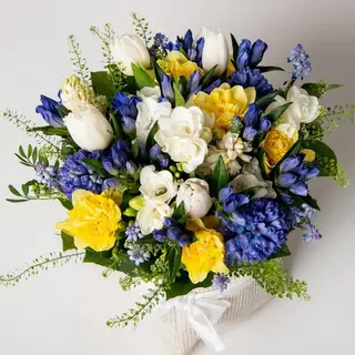 Fiori primaverili profumati medio Grande