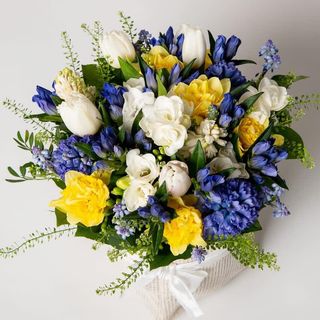 Fiori primaverili profumati medio Grande