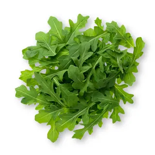 Рукола