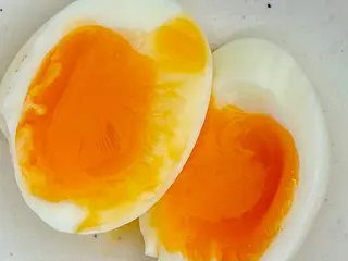 Яйце