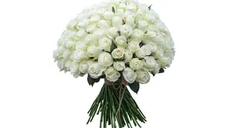 Розы (101 шт., 50 см.)
