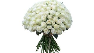 Розы (101 шт., 50 см.)