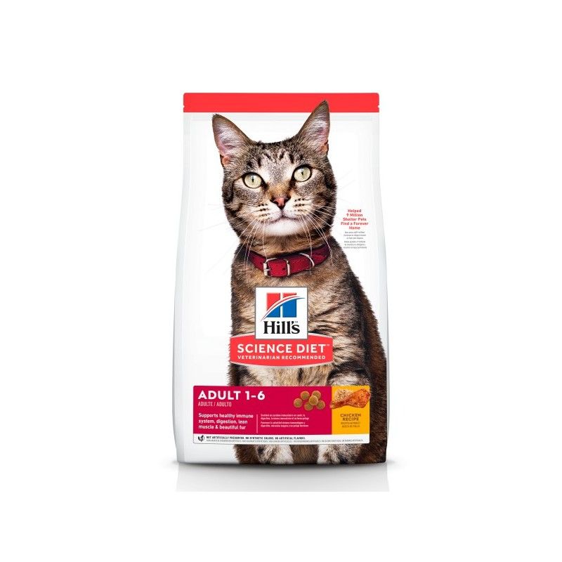 Veterinarska dijeta za mačke