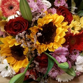 Rosa rosso girasole fiori di campo colorato bello misto qualche gerbere