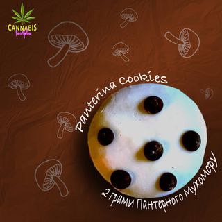 21+ Печиво з 2г Пантерного Мухомору