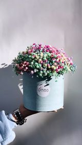 ფერადი გიფსოფილა(Small size)