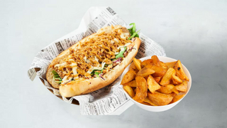 Salmon Dog + Dip Fries